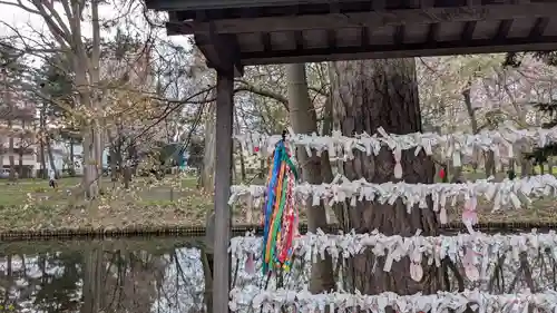 上川神社頓宮のおみくじ