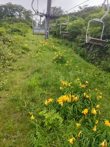月山神社本宮の自然