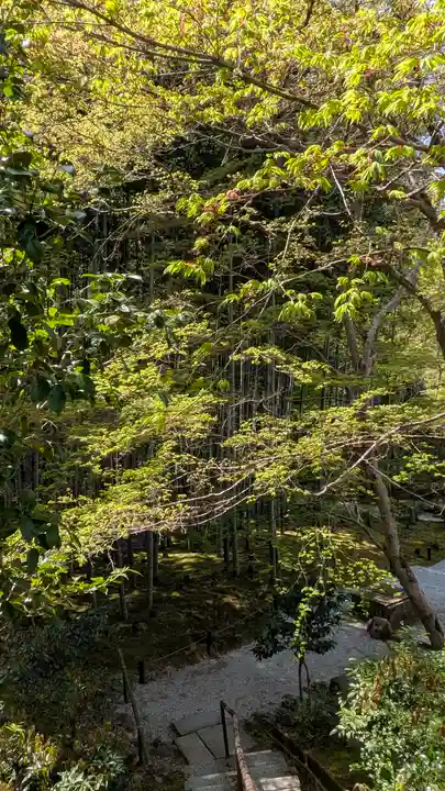 圓光寺(京都府)