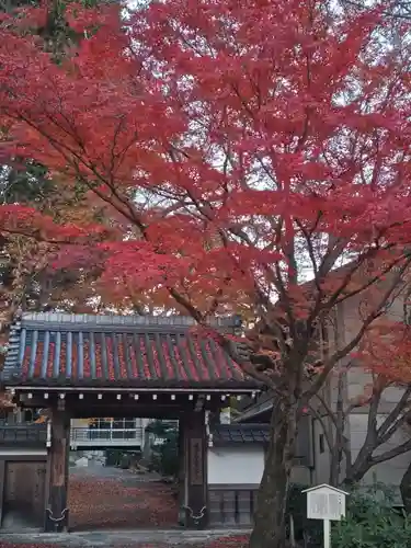 西教寺(滋賀県)