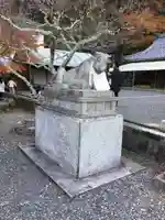 法輪寺の狛犬