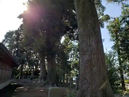 鶴峯八幡宮のその他建物