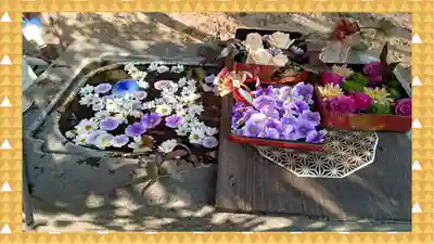 千代ケ岡八幡宮(栃木県)