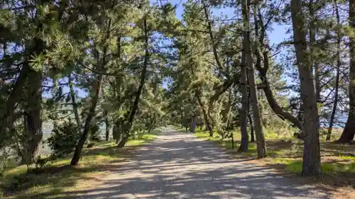 天橋立神社(京都府)