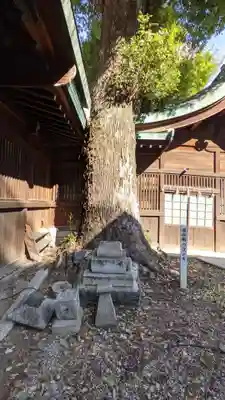 金山神社の自然