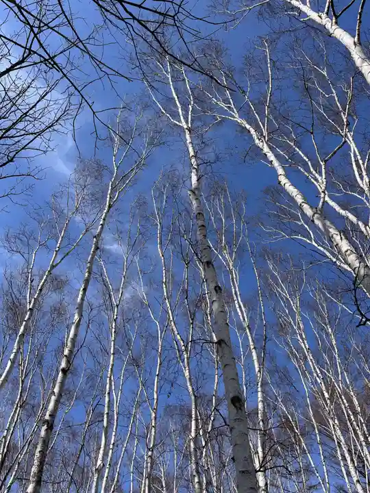 豊平神社の周辺