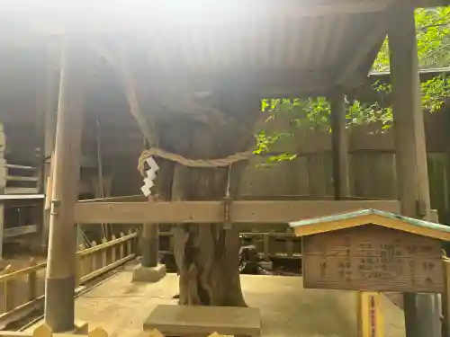鶴嶺八幡宮の{uncategorized: "未分類", other: "その他", undefined: "問題あり", building: "その他建物", grave: "お墓", sacred_gate: "鳥居", guardian: "狛犬", statue: "像", buddha: "仏像", history: "歴史", nature: "自然", garden: "庭園", animal: "動物", pagoda: "塔", temizu: "手水舎", mountain_gate: "山門・神門", sanctuary: "本殿・本堂", subordinate: "末社・摂社", art: "芸術", scenery: "景色", jizo: "地蔵", ema: "絵馬", goshuin: "御朱印", omikuji: "おみくじ", items: "授与品その他", amulet: "お守り", goshuincho: "御朱印帳", eats: "食事", festival: "お祭り", votive_dance: "神楽", shichigosan: "七五三参", wedding: "結婚式", experience: "体験その他", initially: "初詣", around: "周辺", anti_infection: "感染症対策"}