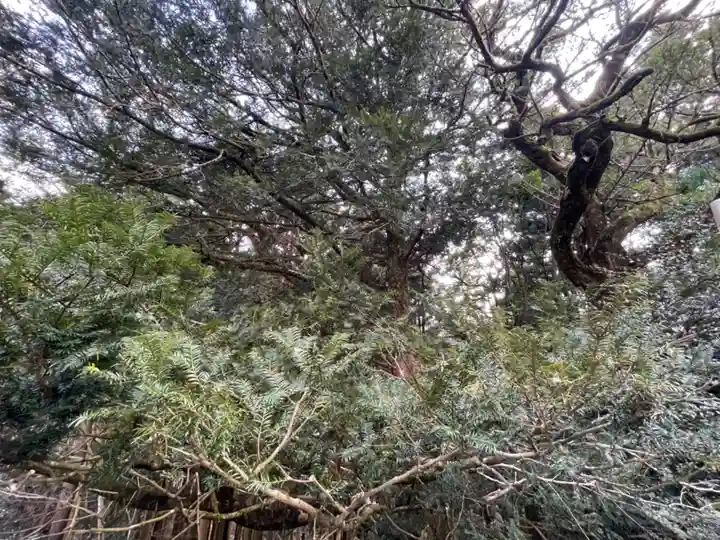 熊野神社(滋賀県)