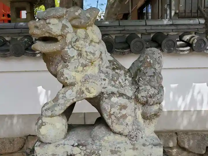 南都鏡神社の狛犬