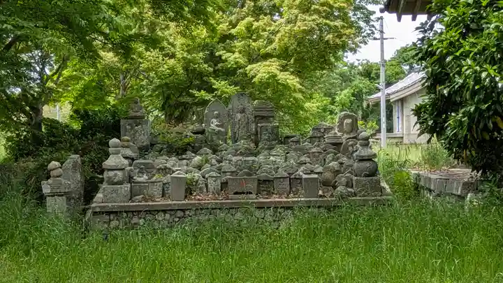 國分寺(国分寺)(京都府)