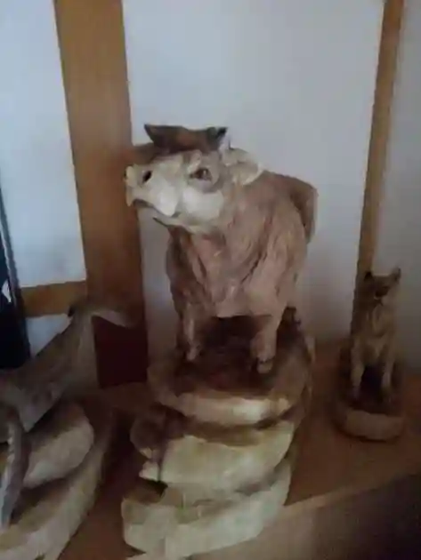 天龍寺(東京都)