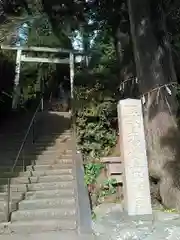 伊野天照皇大神宮の鳥居