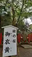 息栖神社の歴史