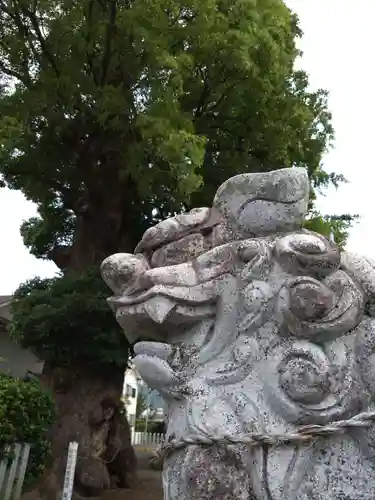 下代菅原神社の狛犬