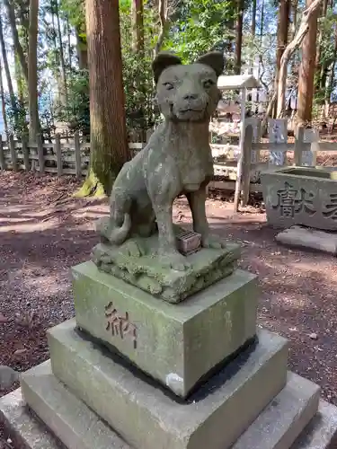 宝登山神社奥宮の狛犬