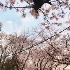 神明社（国府宮神明社）の自然