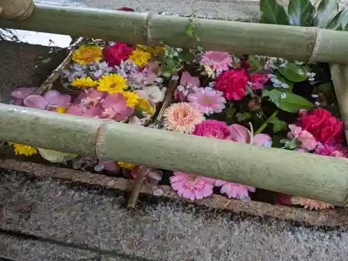 八幡神社(岩手県)