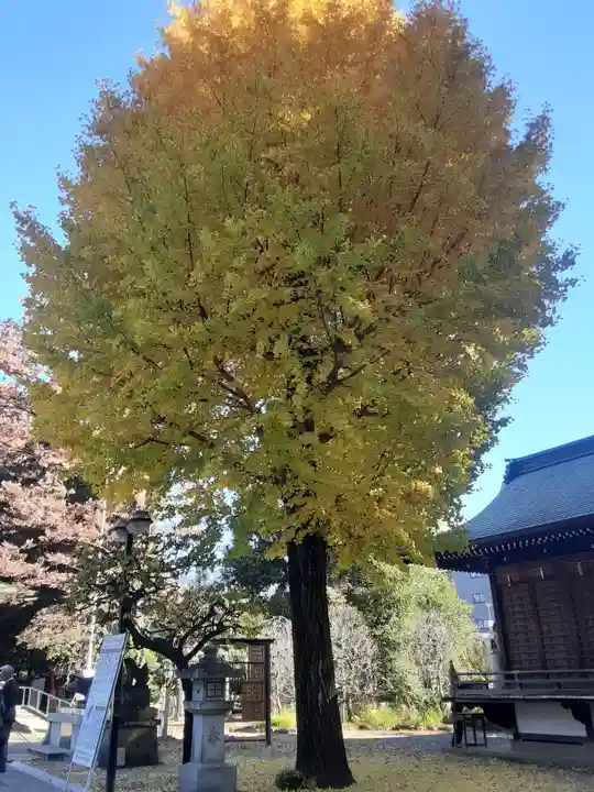 布多天神社(東京都)