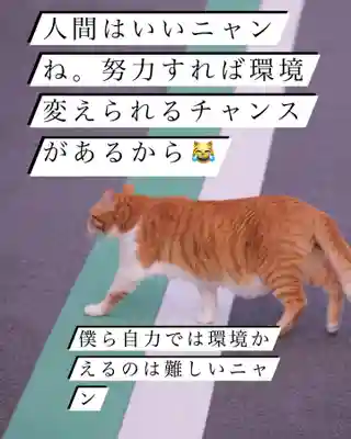 専念寺(大阪府)