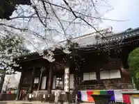 寛永寺(根本中堂)の本殿・本堂