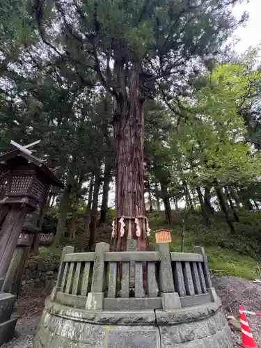 諏訪大社下社春宮(長野県)