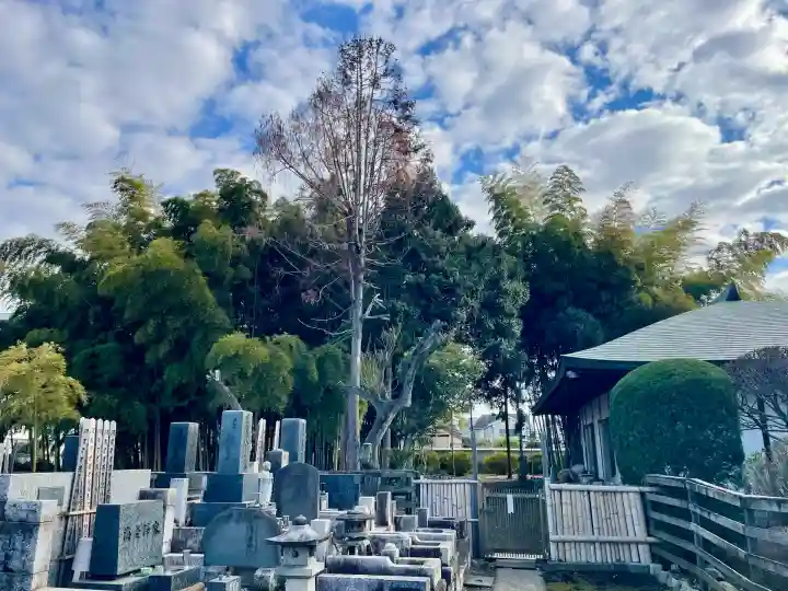 大義寺(東京都)