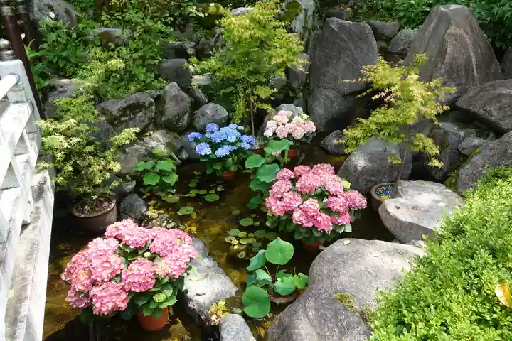 岡寺(龍蓋寺)の自然
