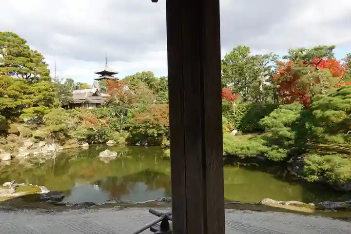 仁和寺の庭園
