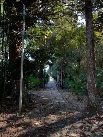 八幡神社(千葉県)