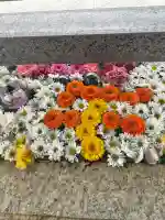 竹駒神社の{uncategorized: "未分類", other: "その他", undefined: "問題あり", building: "その他建物", grave: "お墓", sacred_gate: "鳥居", guardian: "狛犬", statue: "像", buddha: "仏像", history: "歴史", nature: "自然", garden: "庭園", animal: "動物", pagoda: "塔", temizu: "手水舎", mountain_gate: "山門・神門", sanctuary: "本殿・本堂", subordinate: "末社・摂社", art: "芸術", scenery: "景色", jizo: "地蔵", ema: "絵馬", goshuin: "御朱印", omikuji: "おみくじ", items: "授与品その他", amulet: "お守り", goshuincho: "御朱印帳", eats: "食事", festival: "お祭り", votive_dance: "神楽", shichigosan: "七五三参", wedding: "結婚式", experience: "体験その他", initially: "初詣", around: "周辺", anti_infection: "感染症対策"}