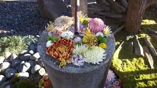 行田八幡神社(埼玉県)
