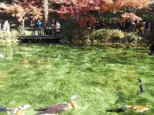 根道神社の庭園