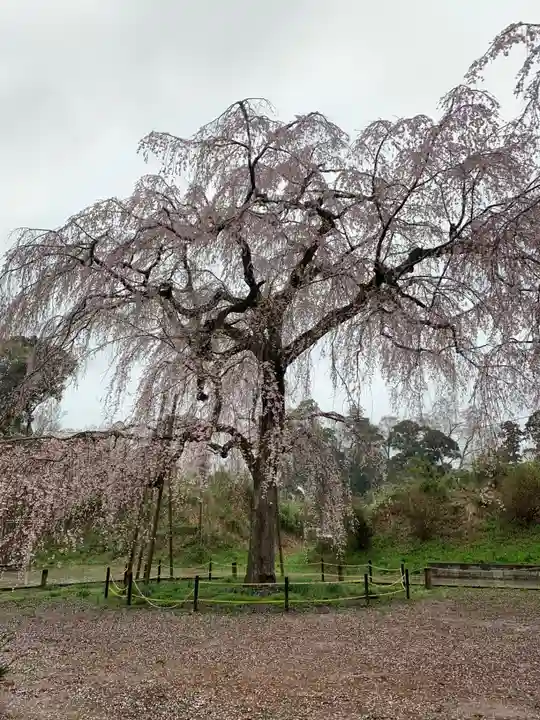 福星寺(千葉県)