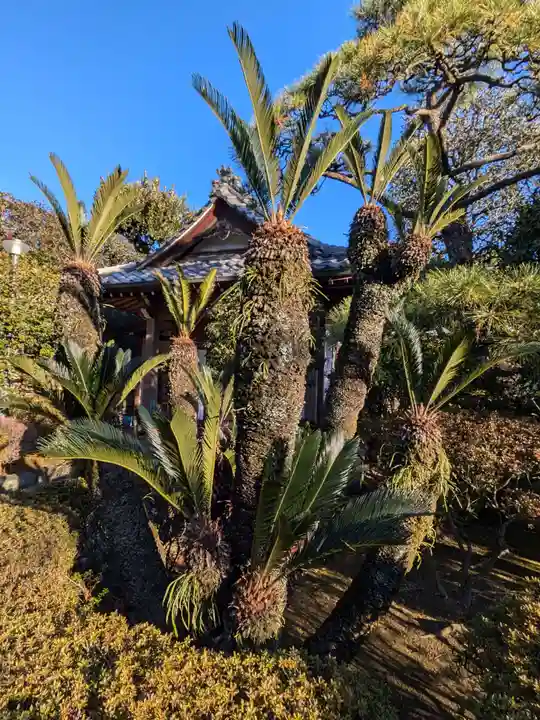 蓮光寺(東京都)