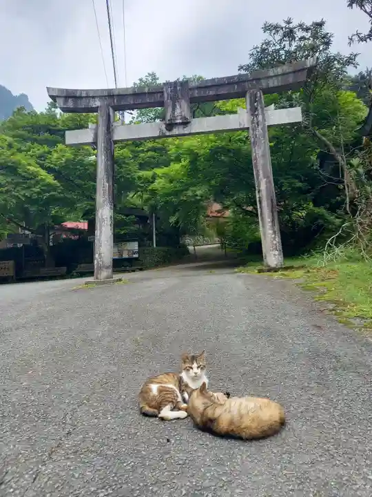 賀野神社の動物