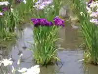 護国寺(山口県)