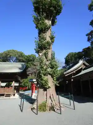 宗像大社中津宮(福岡県)