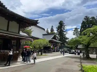 中尊寺(岩手県)