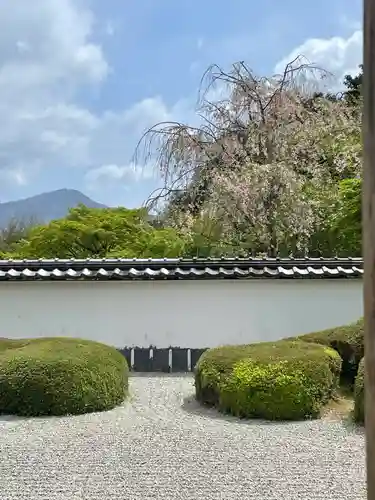 正伝護国禅寺(正伝寺･正傳寺)の庭園