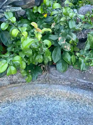 龍雲寺(京都府)