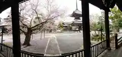 本法寺(京都府)