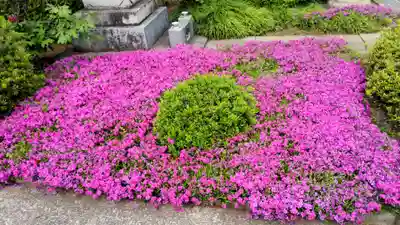 少林寺(埼玉県)