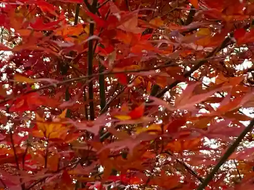 石清水八幡宮(京都府)