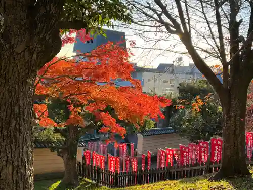 興福寺(奈良県)