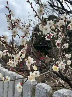 曽根天満宮(兵庫県)