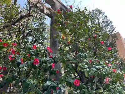 金刀比羅宮東京分社(東京都)