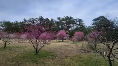 綱敷天満神社(愛媛県)