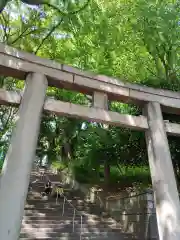 上野東照宮の鳥居