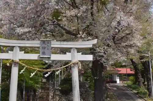 南大谷天神社の鳥居