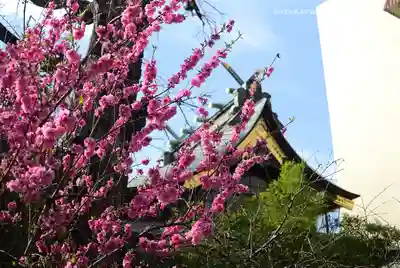 素盞雄神社(東京都)